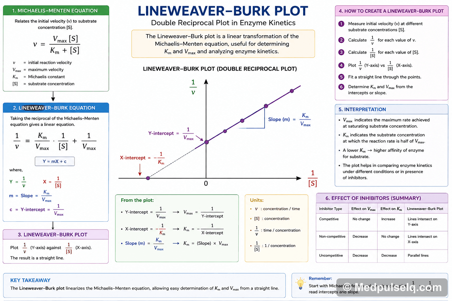 Lineweaver–Burk plot — Biochemistry