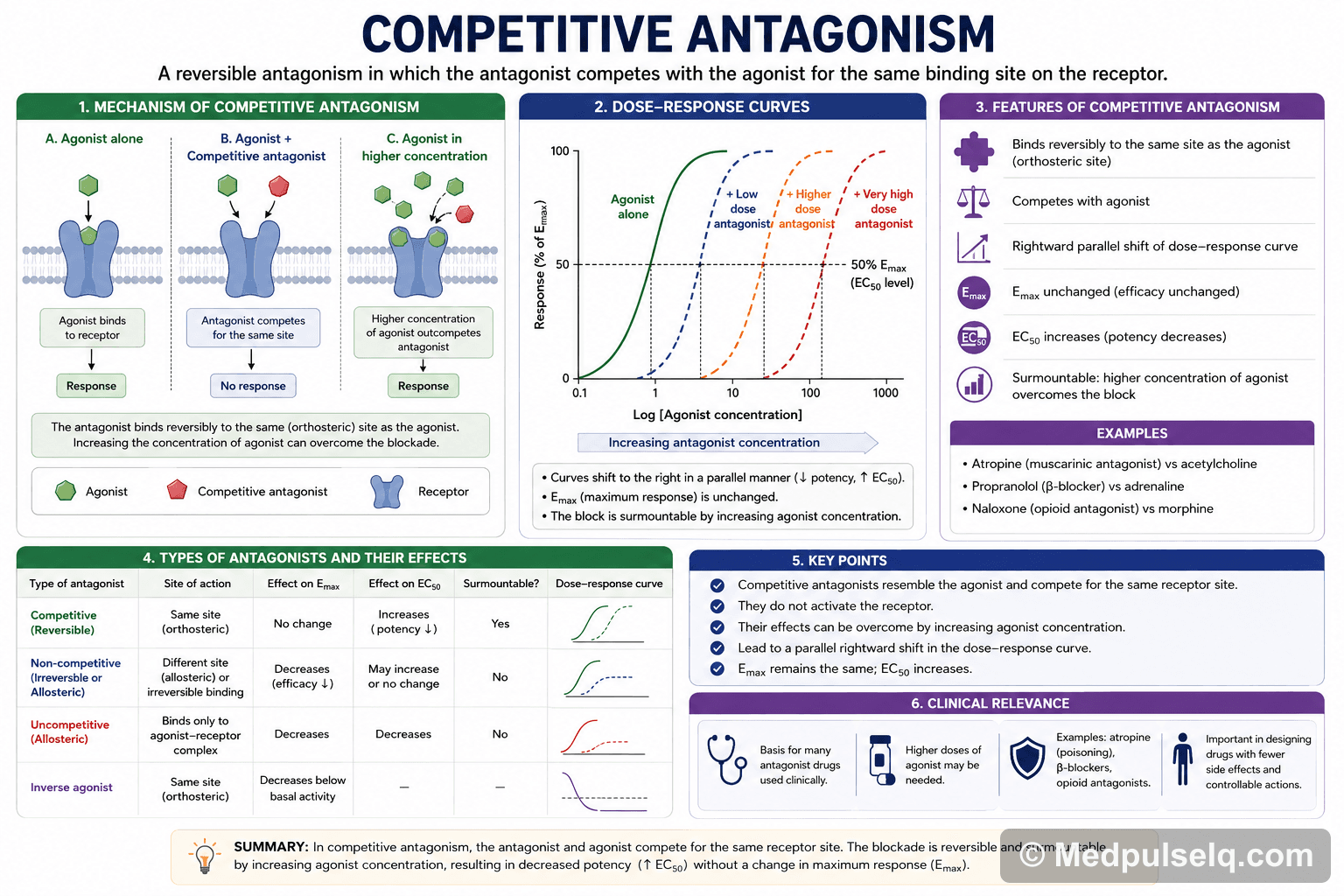 Competitive antagonism — Pharmacology