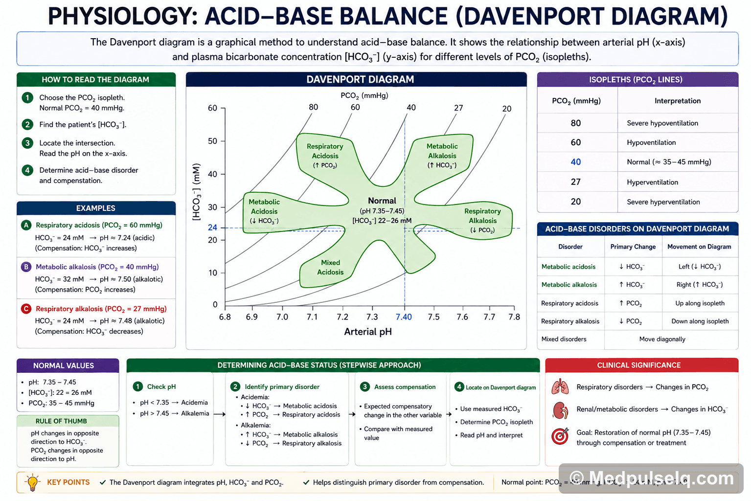 Acid–base (Davenport) — Physiology