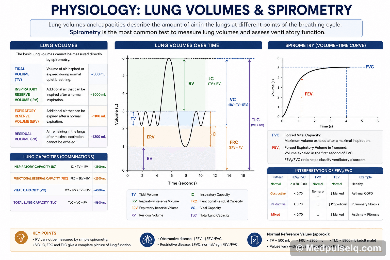 Lung volumes / spirometry — Physiology