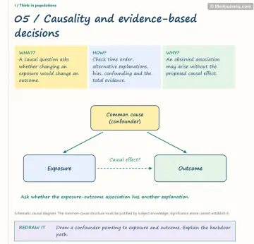 Visual notebook page — Causality and evidence-based decisions: what, how and why panels with a teaching diagram