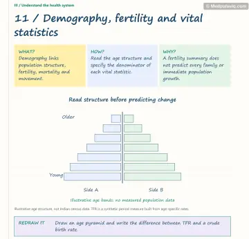 Visual notebook page — Demography, fertility and vital statistics: what, how and why panels with a teaching diagram