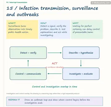 Visual notebook page — Infection transmission, surveillance and outbreaks: what, how and why panels with a teaching diagram