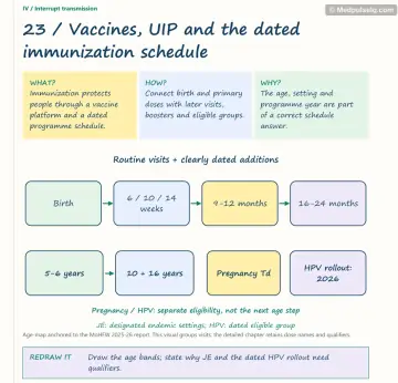 Visual notebook page — Vaccines, UIP and the dated immunization schedule: what, how and why panels with a teaching diagram