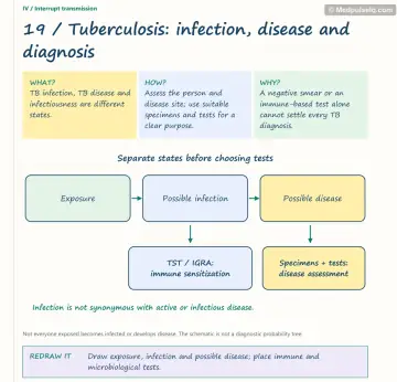 Visual notebook page — Tuberculosis: infection, disease and diagnosis: what, how and why panels with a teaching diagram