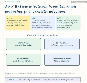 Visual notebook page — Enteric infections, hepatitis, rabies and other public-health infections: what, how and why panels with a teaching diagram