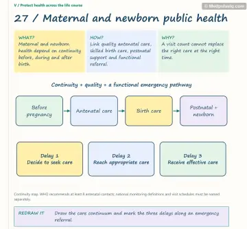 Visual notebook page — Maternal and newborn public health: what, how and why panels with a teaching diagram