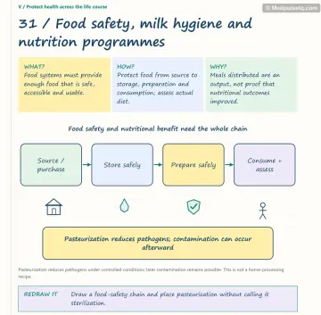 Visual notebook page — Food safety, milk hygiene and nutrition programmes: what, how and why panels with a teaching diagram