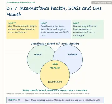 Visual notebook page — International health, SDGs and One Health: what, how and why panels with a teaching diagram