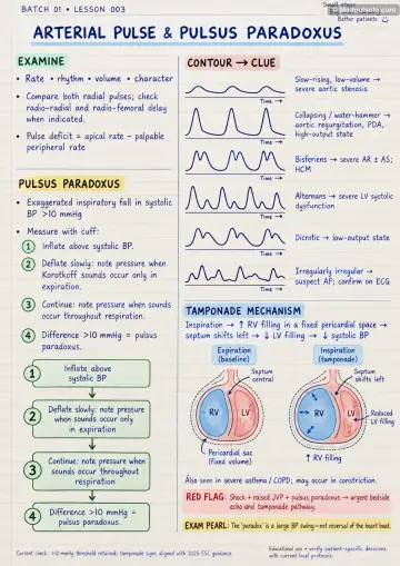 Handwritten one-page note: the arterial pulse and its abnormal patterns