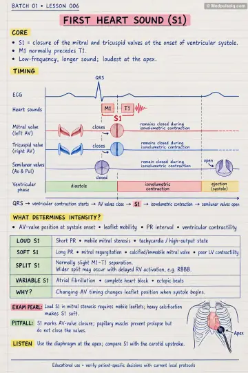 Handwritten one-page note: the first heart sound (S1) and its variations