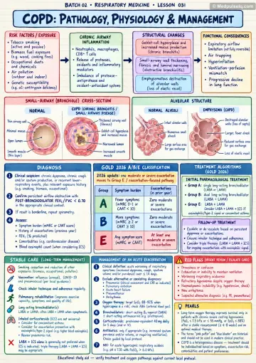 Handwritten one-page note: COPD pathology, GOLD groups and management