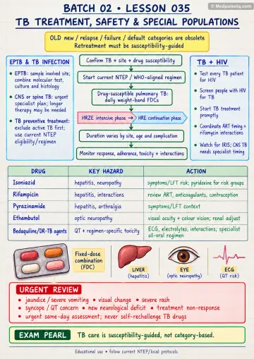 Handwritten one-page note: tuberculosis treatment safety and special populations