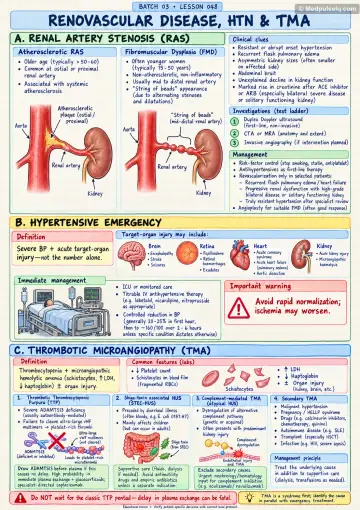 Handwritten one-page note: renovascular disease, hypertensive emergency and TMA