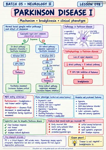 Handwritten one-page note: Parkinson disease mechanism and clinical phenotype