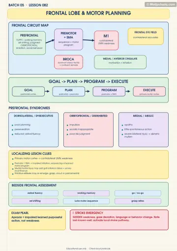 Handwritten one-page note: frontal lobe motor planning and prefrontal syndromes