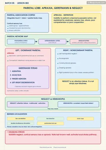 Handwritten one-page note: parietal lobe apraxia, Gerstmann syndrome and neglect