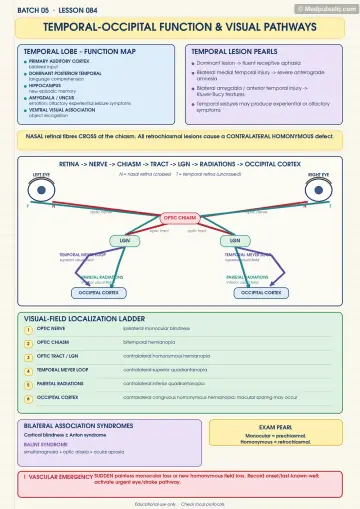 Handwritten one-page note: temporal-occipital functions and visual pathways