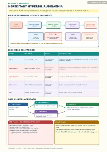 Handwritten one-page note: inherited hyperbilirubinaemia pathways, disorder comparison and safe clinical approach.