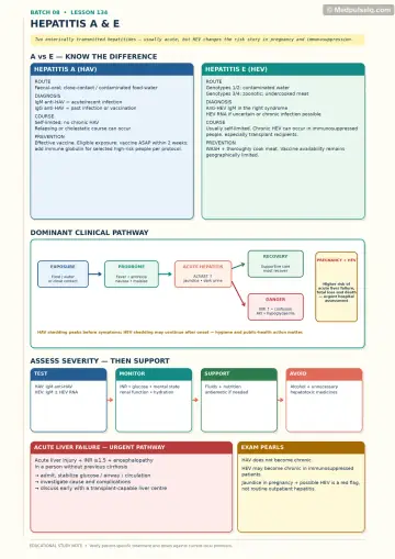 Handwritten one-page note: hepatitis A versus E, acute hepatitis pathway, severity assessment and pregnancy danger.