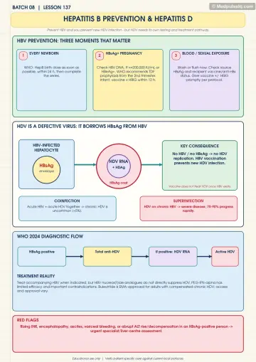 Handwritten one-page note: hepatitis B prevention moments, pregnancy prophylaxis, exposure management and hepatitis D diagnosis.