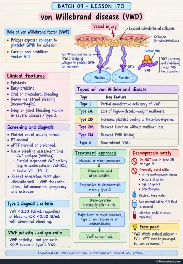 Handwritten one-page note: von Willebrand disease roles, clinical features, diagnostic testing, subtype patterns, desmopressin safety, and treatment