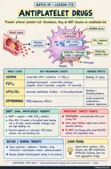 Handwritten one-page note: antiplatelet drug mechanisms, adverse effects, dual therapy duration, safety checks, and arterial thrombosis prevention