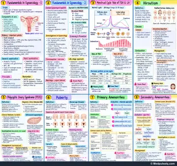 Handwritten one-page note: whole-subject map of gynaecology foundations