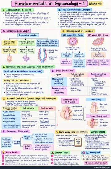 Handwritten one-page note: embryology of gonads, ducts and external genitalia