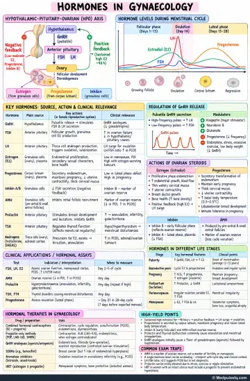 Handwritten one-page note: HPO axis, cycle hormones and hormone assays