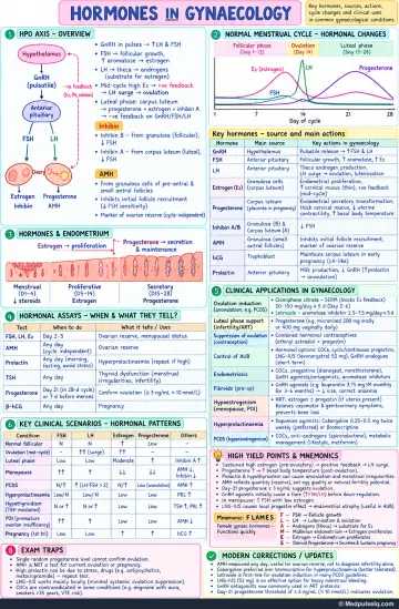 Handwritten one-page note: ovarian steroids, assays and hormonal therapies