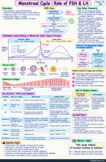 Handwritten one-page note: menstrual cycle hormones, ovarian events and endometrial phases