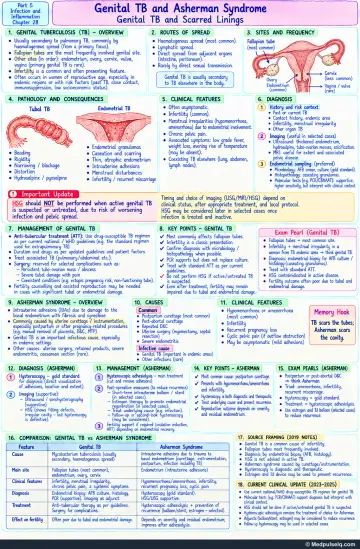 Handwritten one-page note: female genital tuberculosis and Asherman syndrome — spread, pathology, diagnosis and management