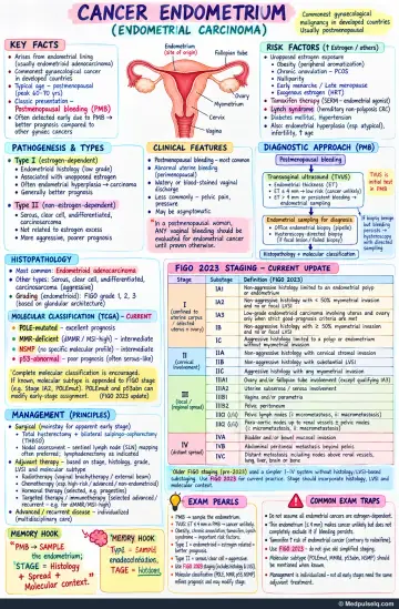 Handwritten one-page note: endometrial carcinoma