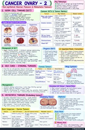 Handwritten one-page note: non-epithelial ovarian tumours