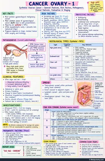 Handwritten one-page note: epithelial ovarian cancer