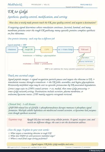 Handwritten one-page note: protein targeting, ER quality control and Golgi sorting