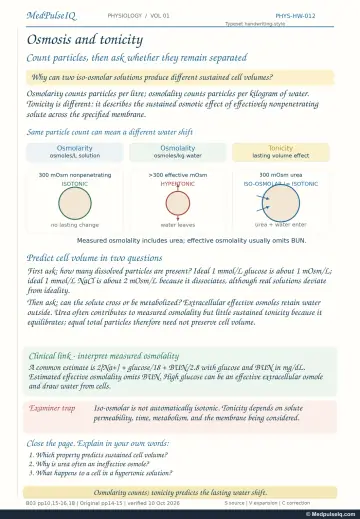 Handwritten one-page note: osmolarity, osmolality and tonicity with cell-volume examples