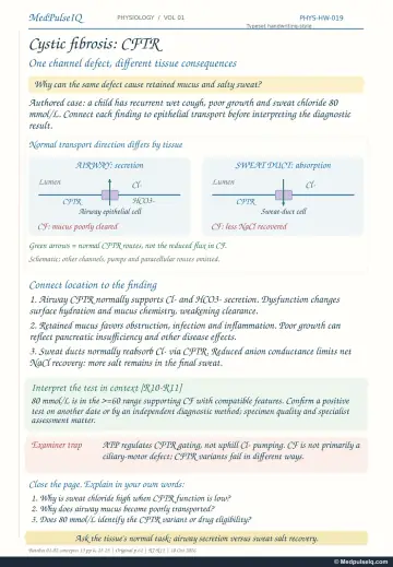 Handwritten one-page note: CFTR in airway versus sweat duct and the sweat chloride test