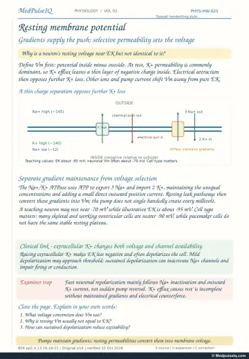 Handwritten one-page note: resting membrane potential, K⁺ leak and the Na⁺/K⁺ pump