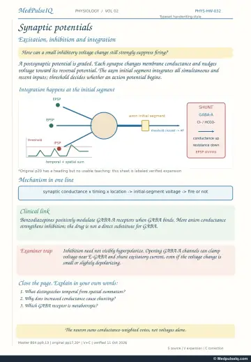 Handwritten one-page note: EPSPs, IPSPs, summation and shunting inhibition