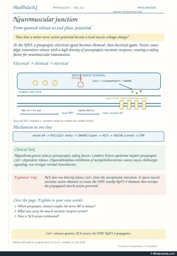 Handwritten one-page note: neuromuscular transmission from quantal release to end-plate potential