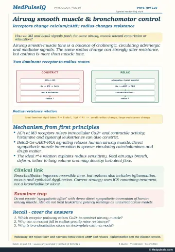 Handwritten one-page note: M3 and beta-2 control of airway smooth muscle and radius