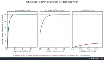 Graphs: capillary partial pressure against transit time for nitrous oxide, oxygen and carbon monoxide