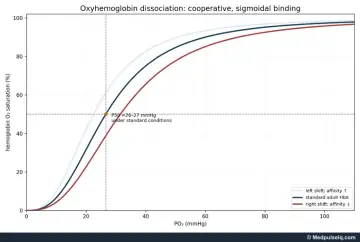 Graph: oxyhaemoglobin dissociation curve with left and right shifts and P50