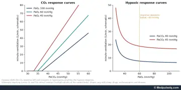 Graphs: ventilatory responses to CO₂ at three PaO₂ values and to hypoxia at two PaCO₂ values