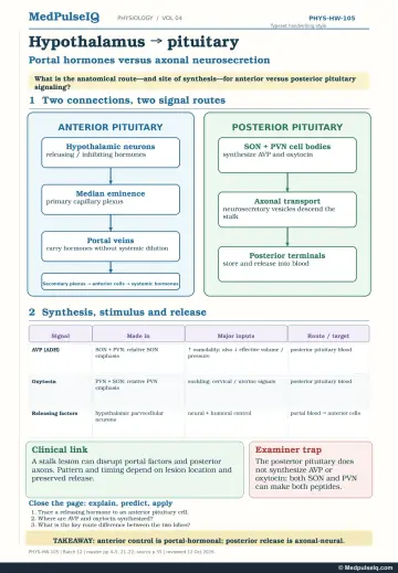 Handwritten one-page note: hypothalamo-hypophyseal portal system versus posterior pituitary neurosecretion
