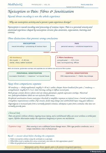 Handwritten one-page note: nociception versus pain, A-delta versus C fibres, peripheral versus central sensitisation