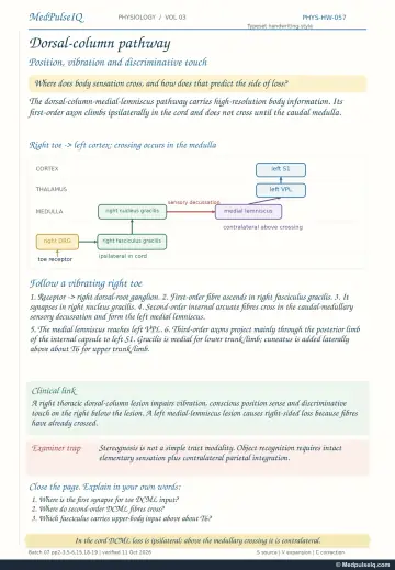 Handwritten one-page note: route of vibration and position sense from the right toe to the left cortex