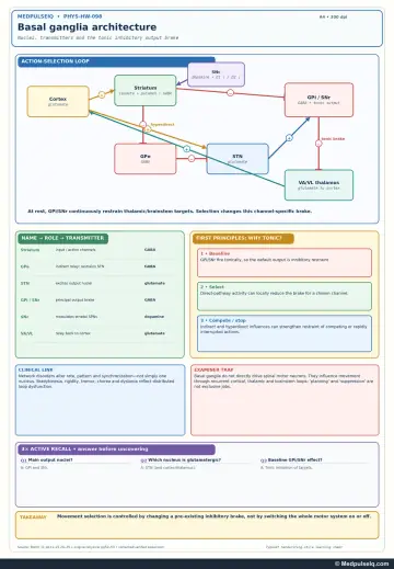 Diagram: cortex–striatum–GPe–STN–GPi/SNr–thalamus loop with dopamine from SNc